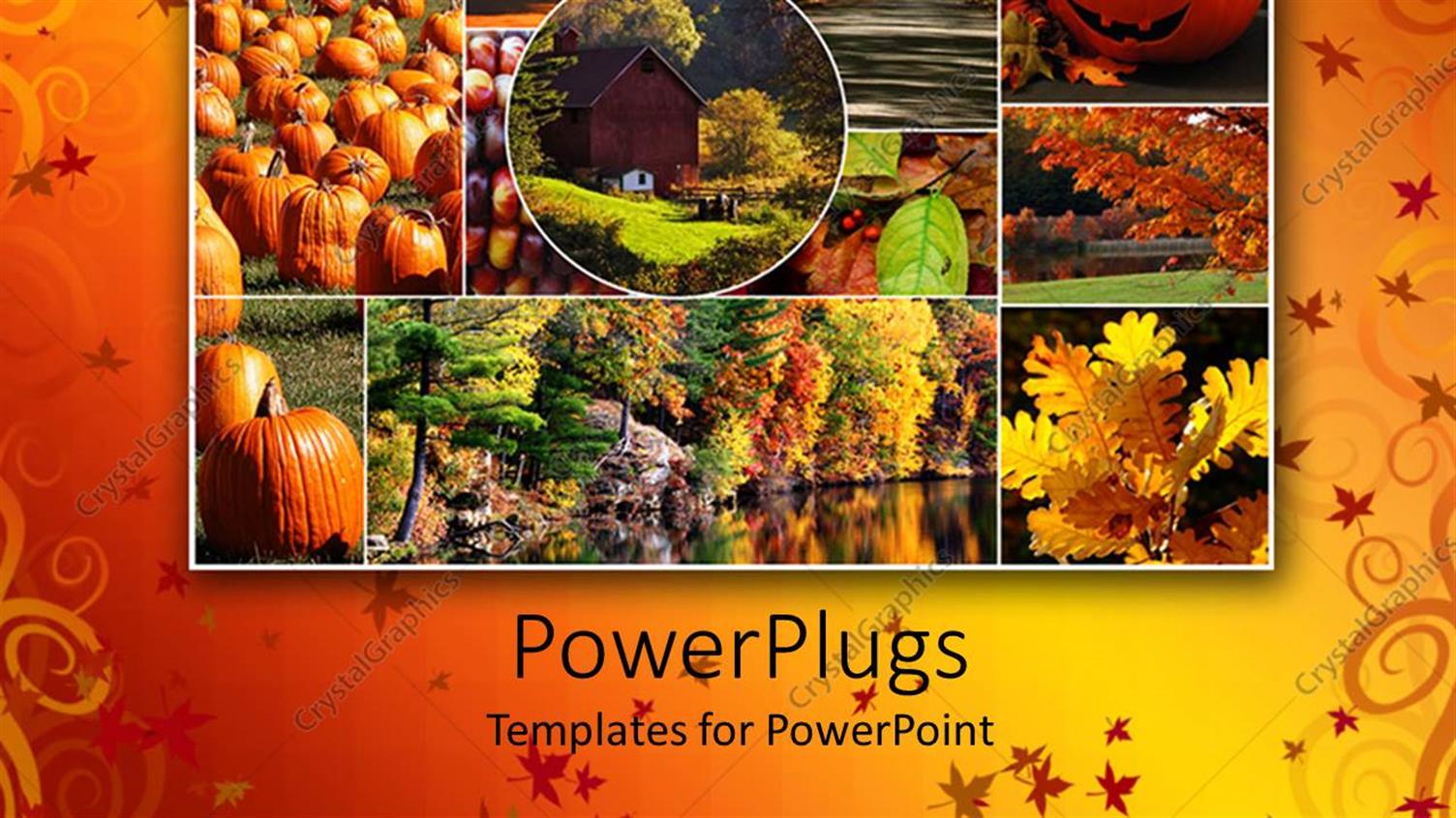 Premium Template for PowerPoint & Google Slides 
