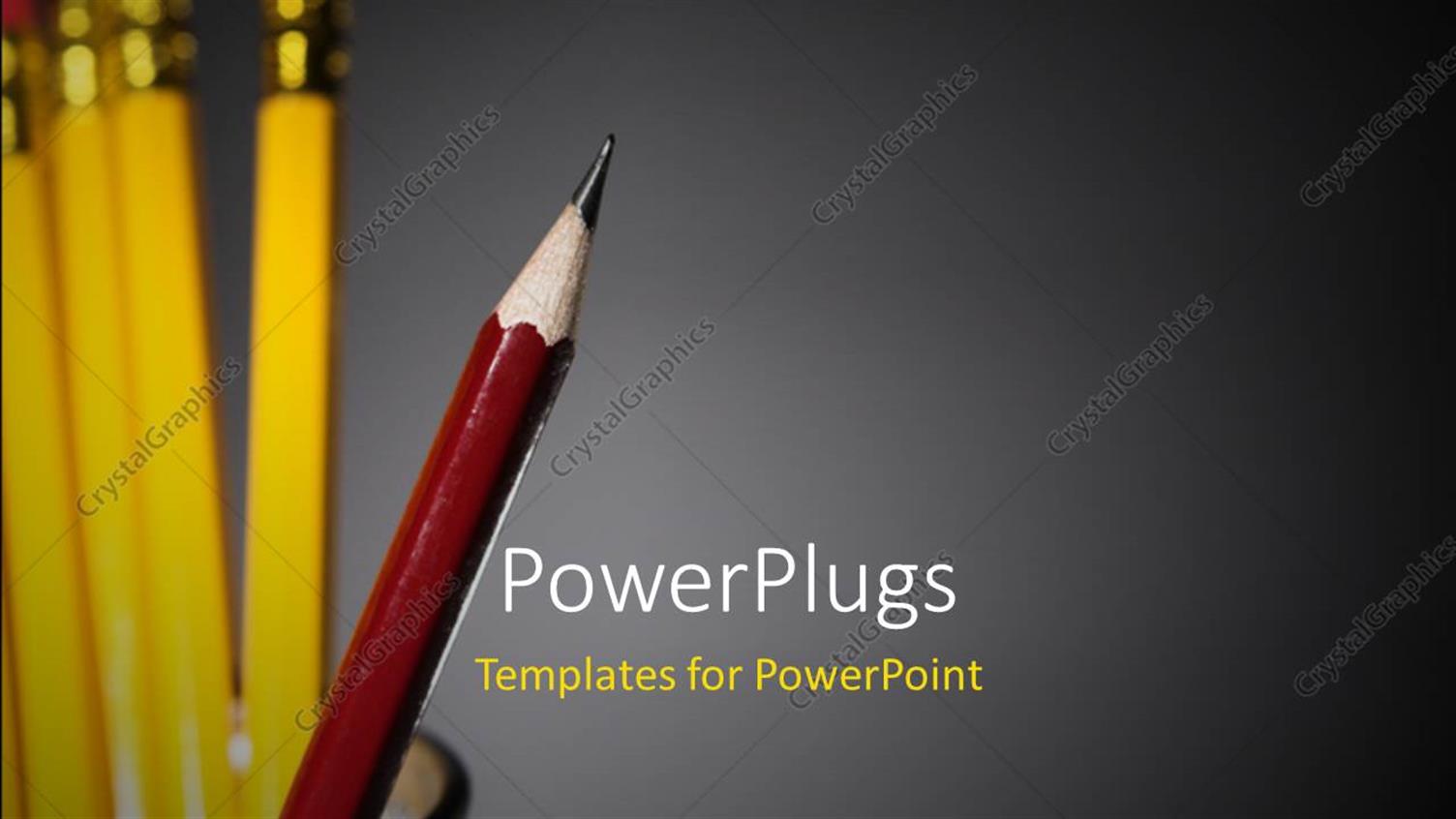 Premium Template for PowerPoint & Google Slides 