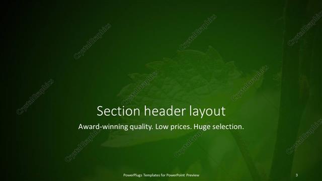 Section Header presentation slide layout