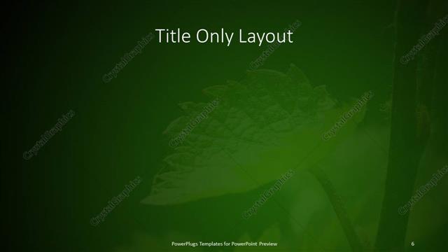 Title Only presentation slide layout
