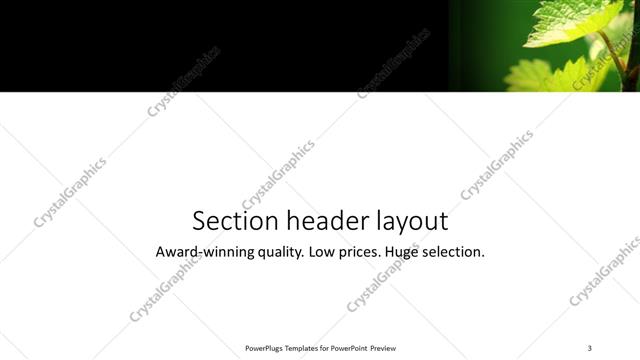 Section Header presentation slide layout