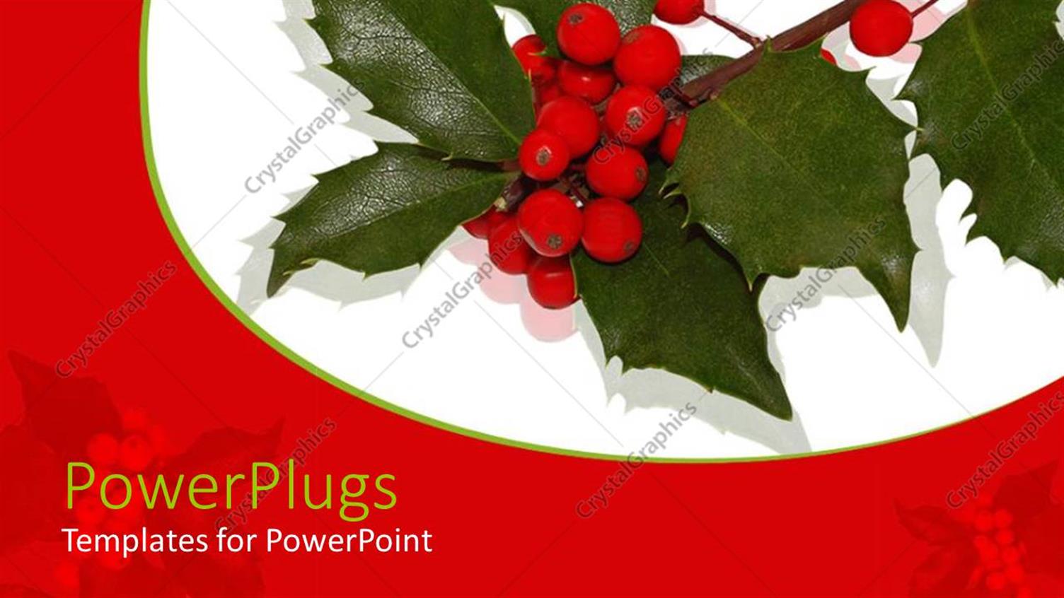 Featuring a Number of Leaves and Berries with White Background