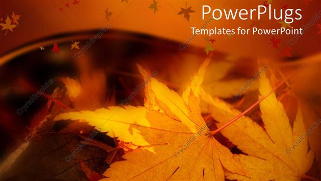  Presentation with fall leaves - A number of leaves in the fall