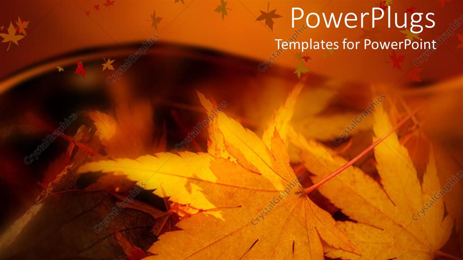 Premium Template for PowerPoint & Google Slides 