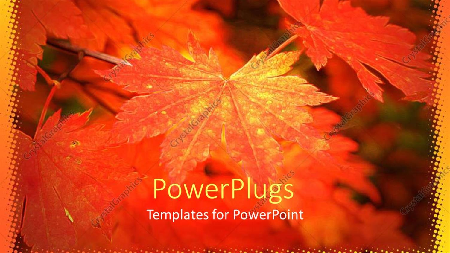 Premium Template for PowerPoint & Google Slides 