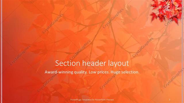 Section Header presentation slide layout