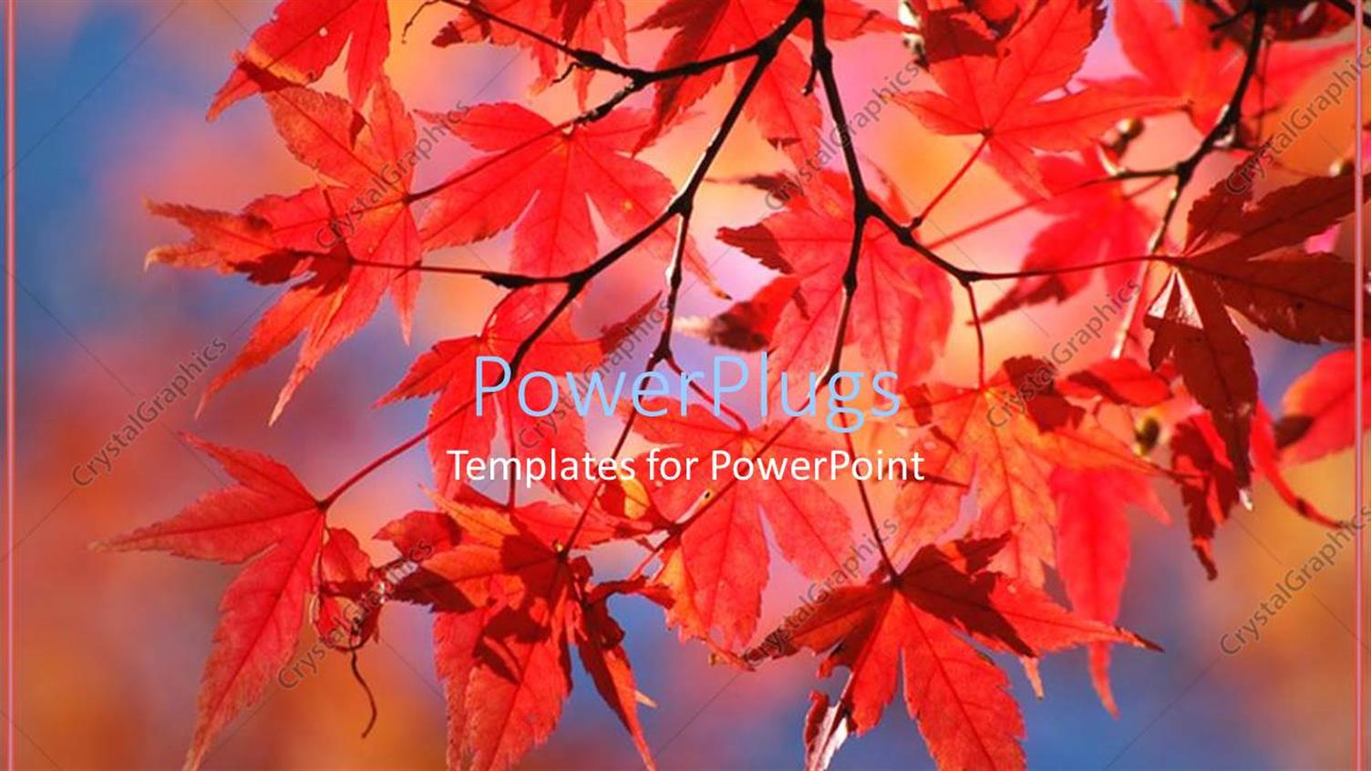 Premium Template for PowerPoint & Google Slides 