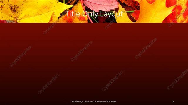 Title Only presentation slide layout