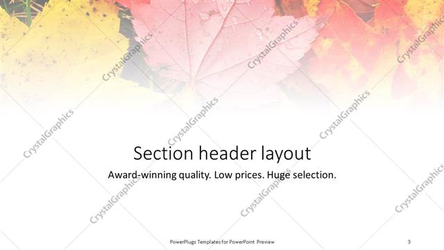 Section Header presentation slide layout