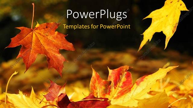  Presentation with fall - A number of leaves in the fall season