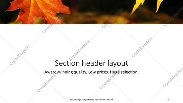 Section Header presentation slide layout