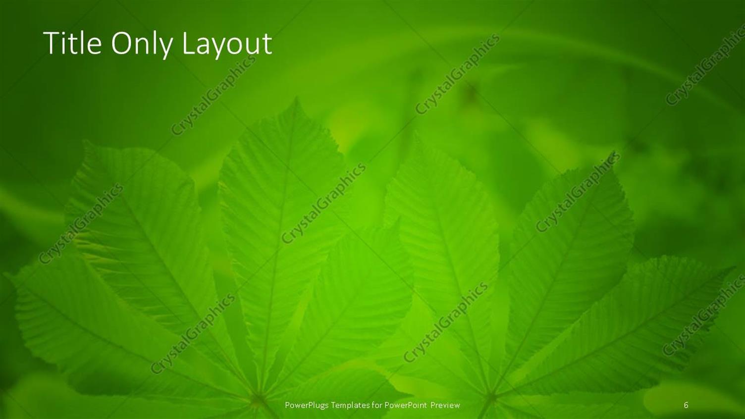 Green Leaves PowerPoint Background