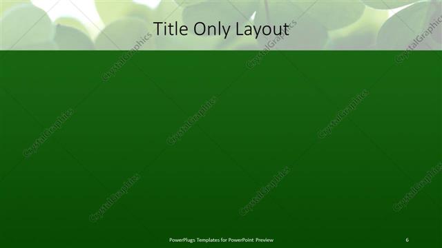 Title Only presentation slide layout