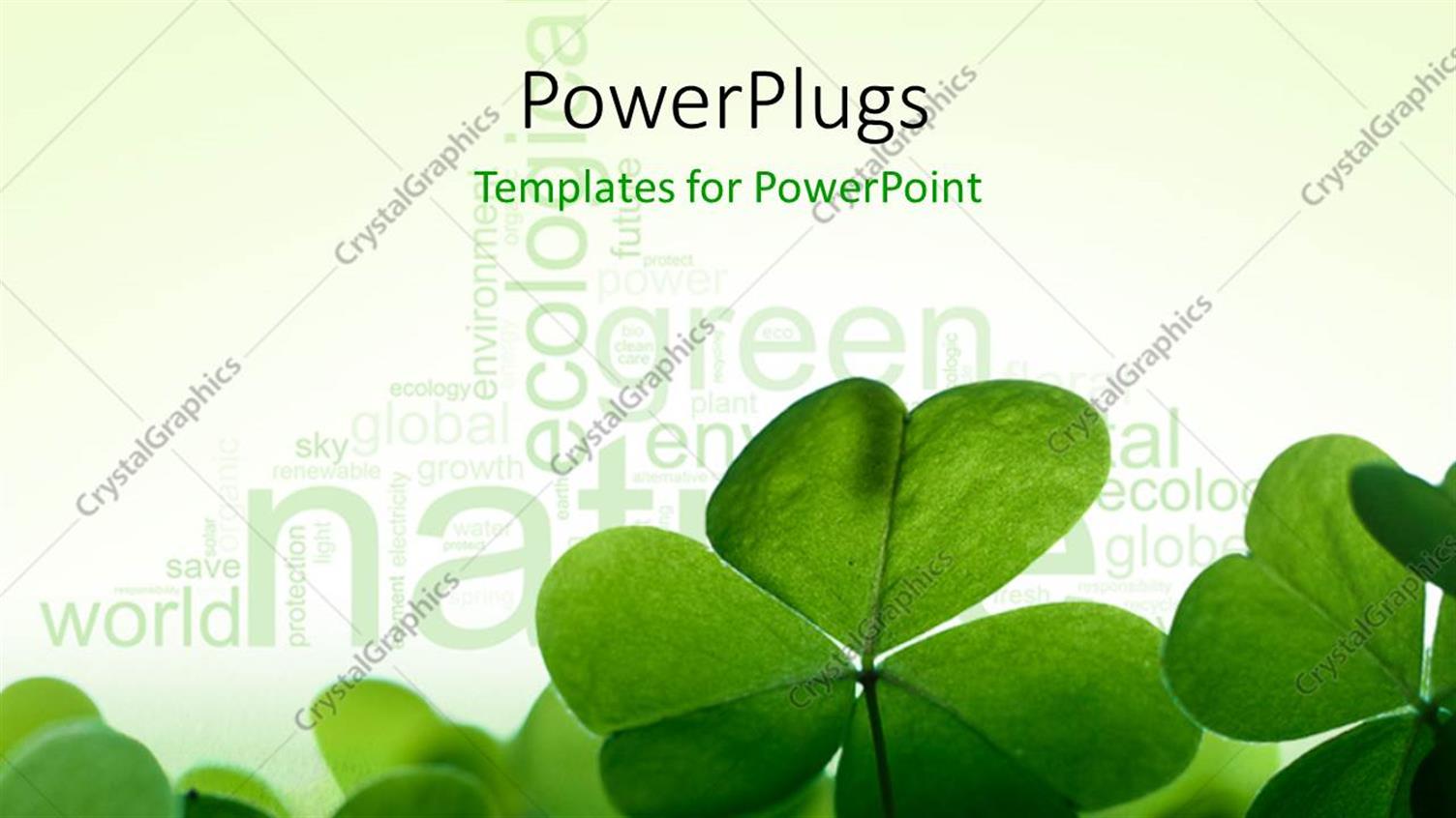 Premium Template for PowerPoint & Google Slides 