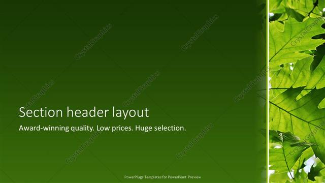 Section Header presentation slide layout