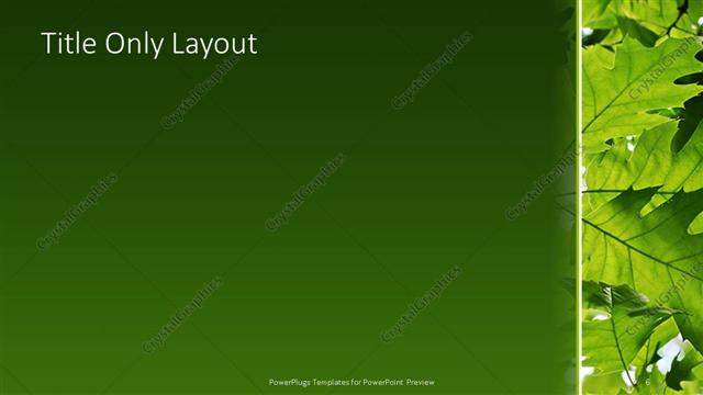 Title Only presentation slide layout