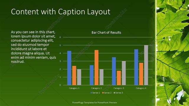 Content with Caption presentation slide layout