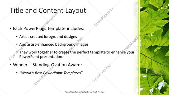 Title and Content presentation slide layout