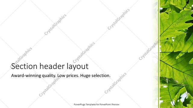 Section Header presentation slide layout