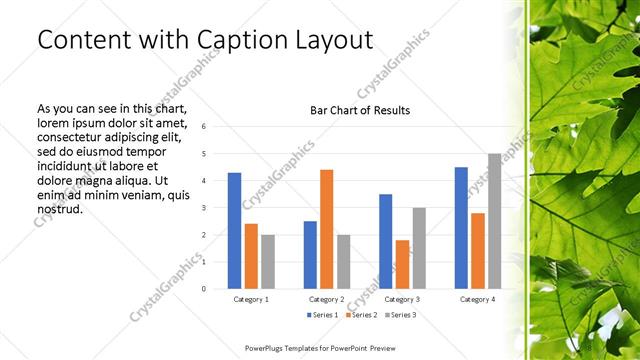 Content with Caption presentation slide layout