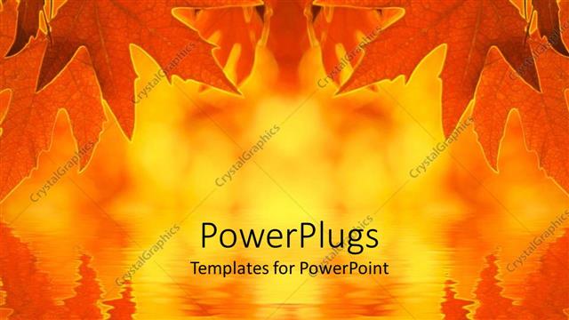  Presentation with leaves - A number of leaves with their reflection in the water