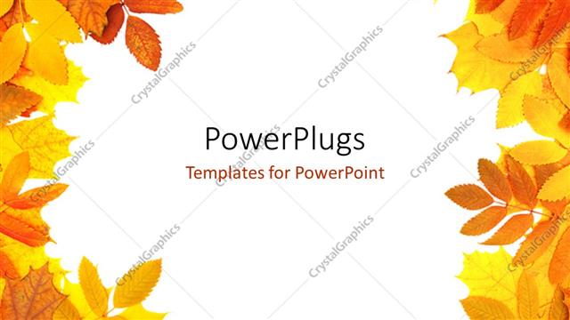  Presentation with leaves - A number of leaves with white background