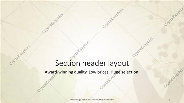 Section Header presentation slide layout