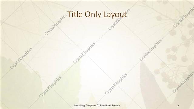 Title Only presentation slide layout