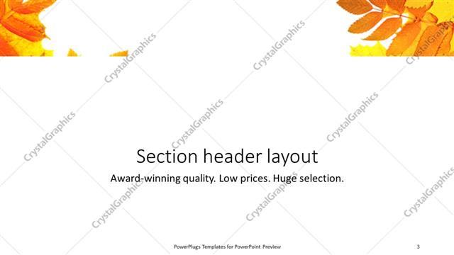Section Header presentation slide layout