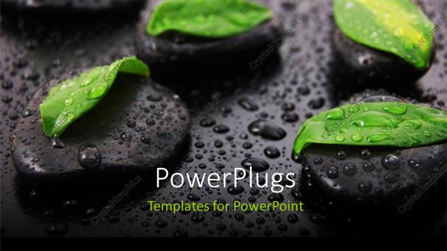  Presentation with zen - A number of leaves with zen stones