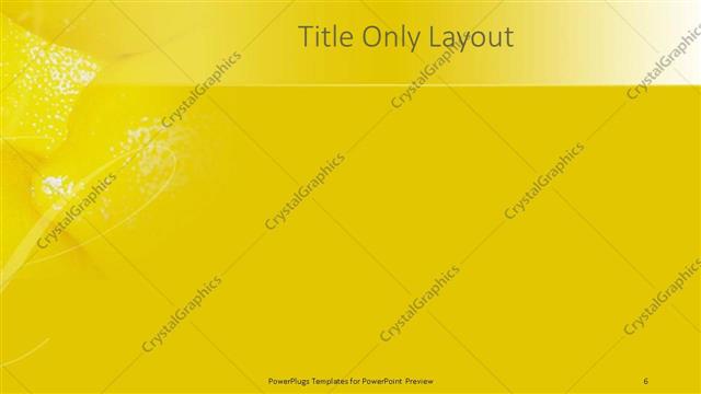 Title Only presentation slide layout