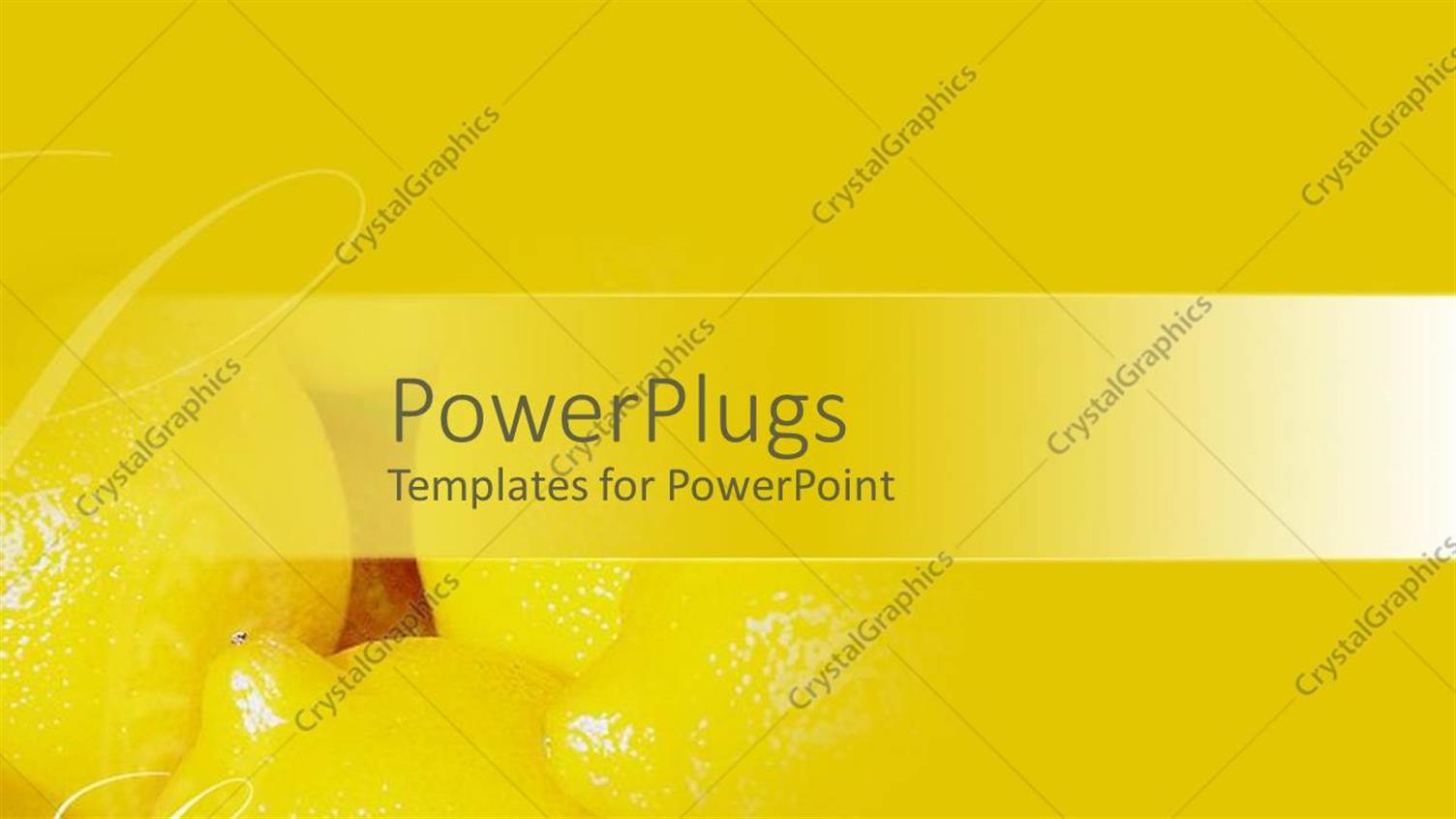 Premium Template for PowerPoint & Google Slides 