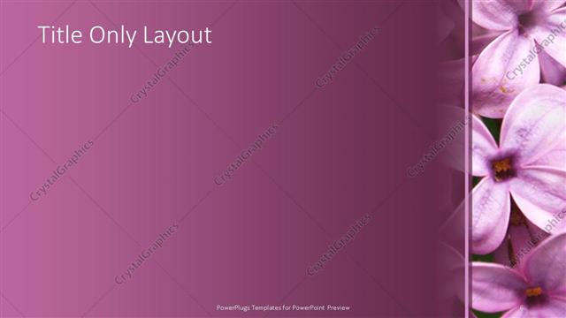 Title Only presentation slide layout