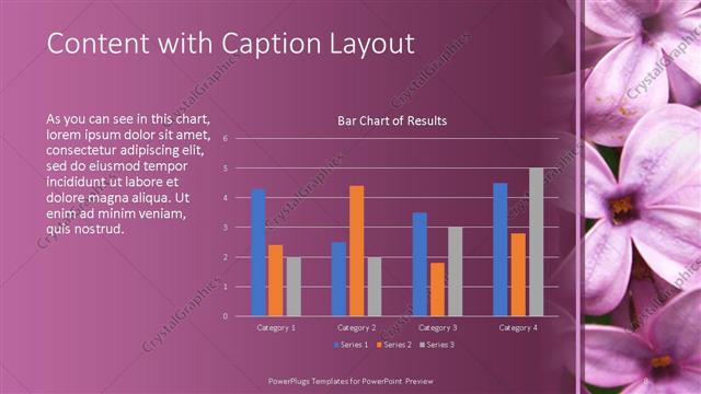 Content with Caption presentation slide layout