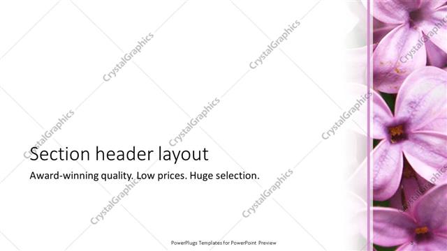 Section Header presentation slide layout