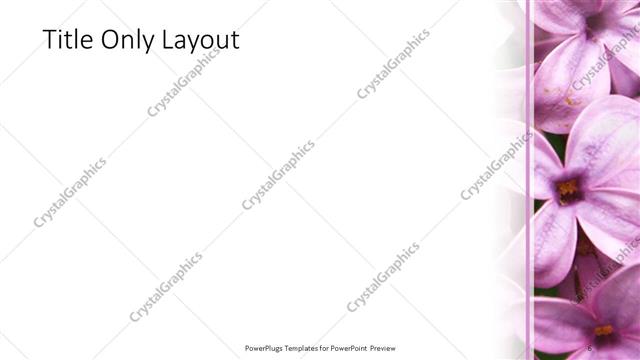 Title Only presentation slide layout