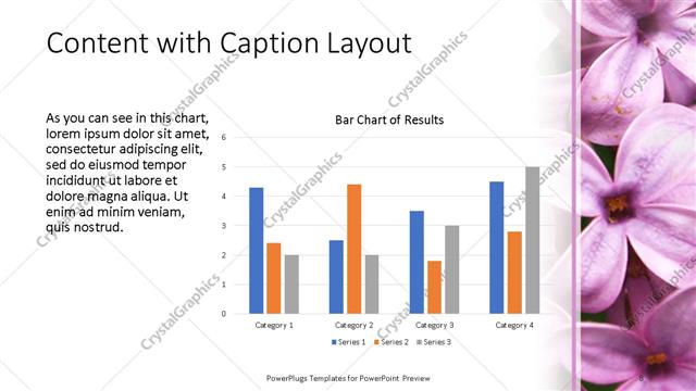 Content with Caption presentation slide layout
