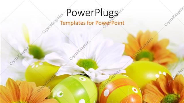 Presentation with orange - A number of orange flowers with white background