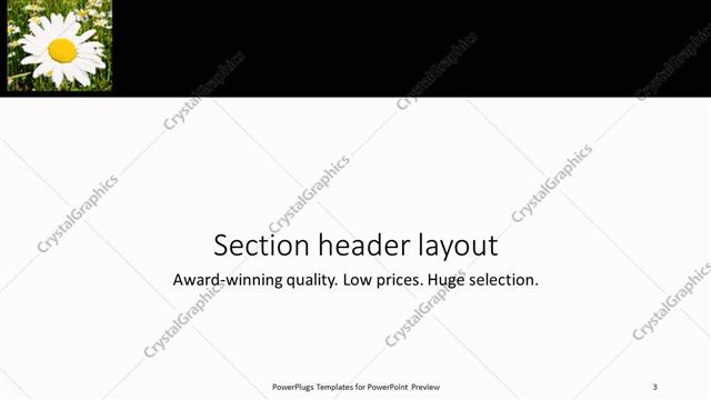 Section Header presentation slide layout