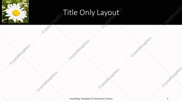 Title Only presentation slide layout