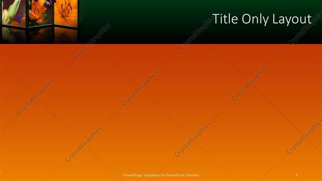 Title Only presentation slide layout