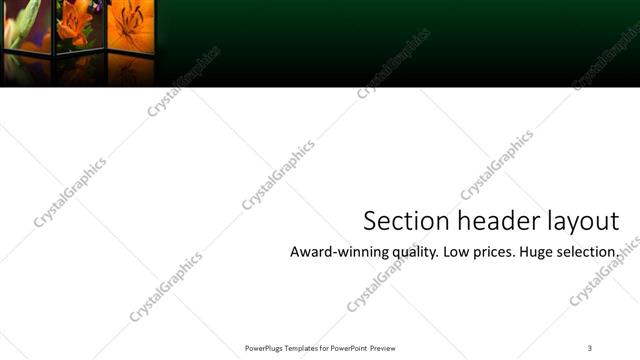 Section Header presentation slide layout