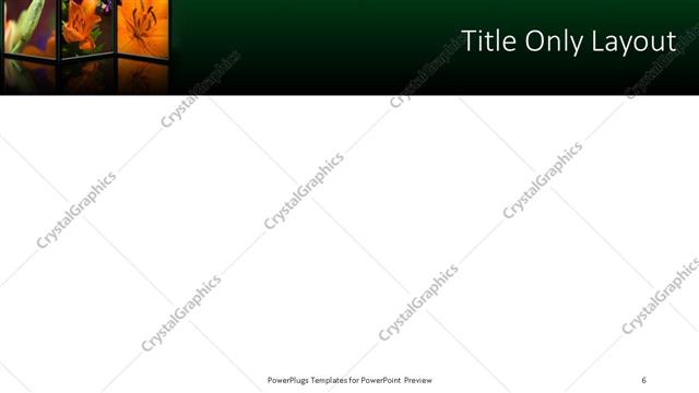 Title Only presentation slide layout