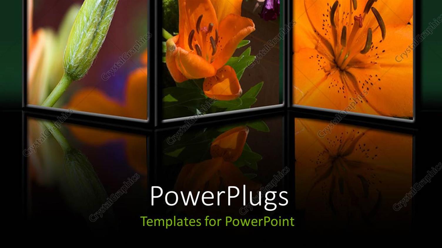 Premium Template for PowerPoint & Google Slides 