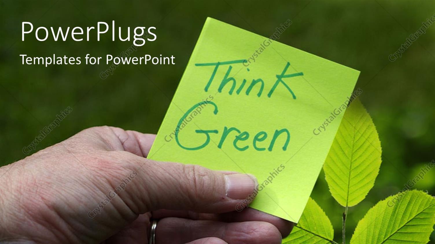 Premium Template for PowerPoint & Google Slides 