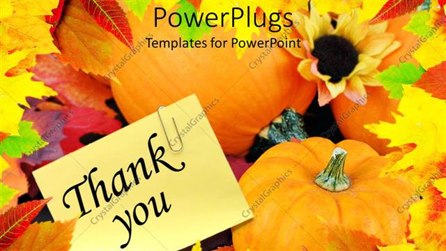  Presentation with giving - A number of pumpkins and leaves together