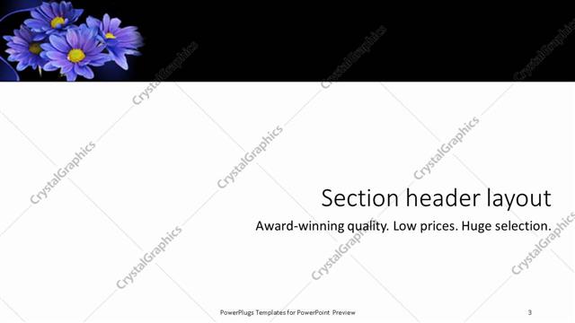 Section Header presentation slide layout