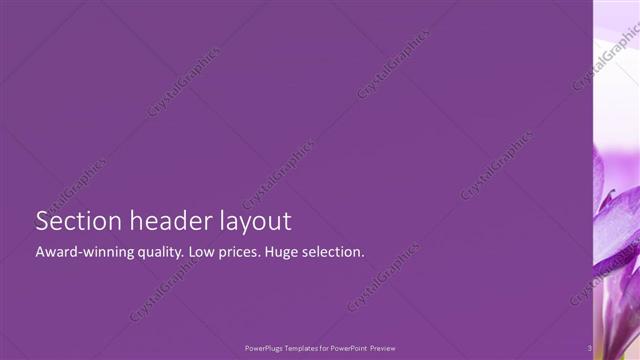 Section Header presentation slide layout