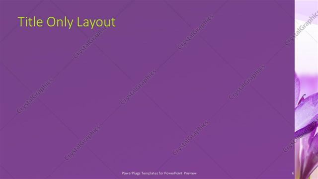 Title Only presentation slide layout