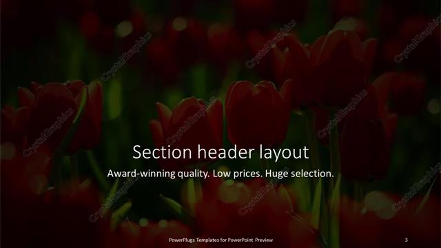 Section Header presentation slide layout